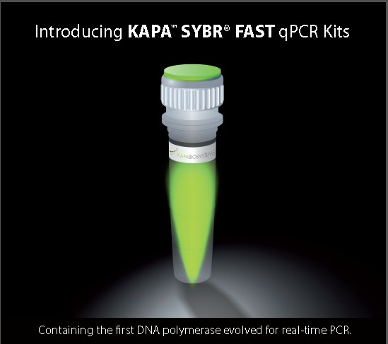 KAPA SYBR FAST qPCR Kit 100